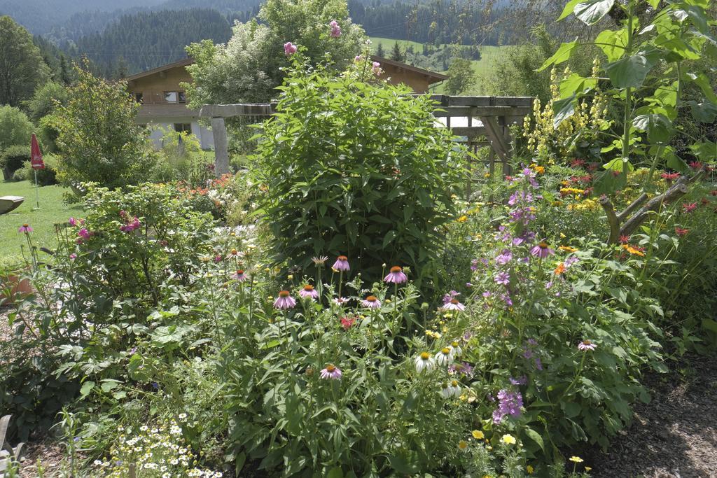 Pension Aloisia Scheffau am Wilden Kaiser Exterior foto